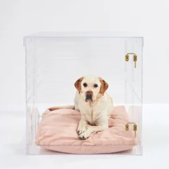 Acrylic Large Size Dog Crate Furniture