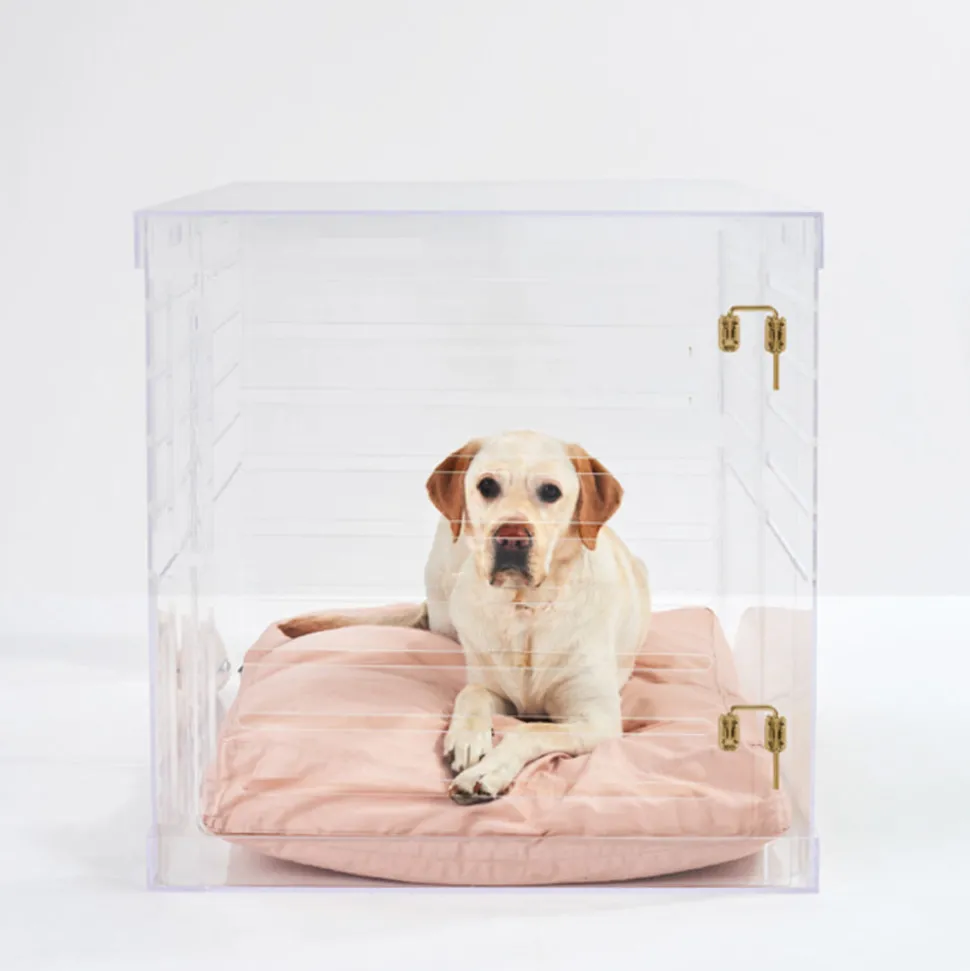 Acrylic Large Size Dog Crate Furniture