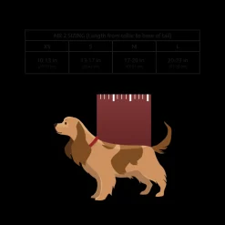 Air 2 | The Original Backpack Dog Carrier