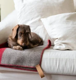 Ansel Recycled Wool Dog Blanket