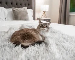 Anti-Scratch & Waterproof Throw Blanket For Cats