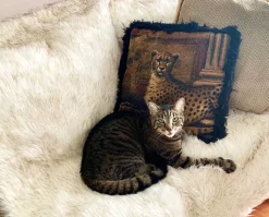 Anti-Scratch & Waterproof Throw Blanket For Cats