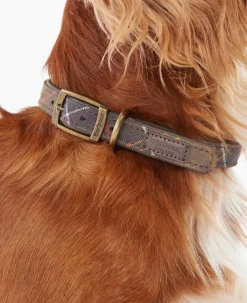 Barbour Tartan Leather Dog Collar