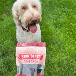Beef Chips for Dogs