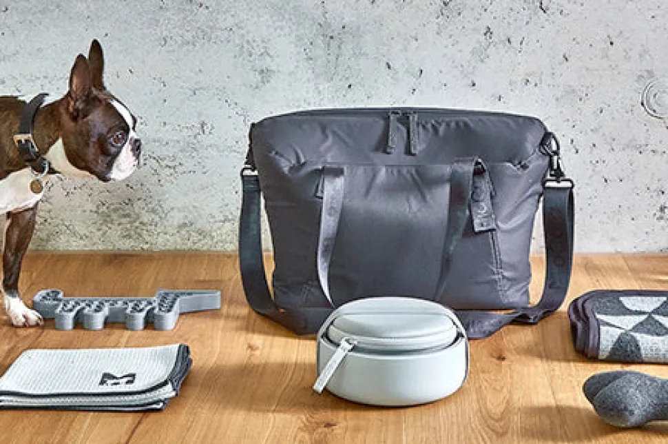 Bento Dog Travel Bowl Food Container