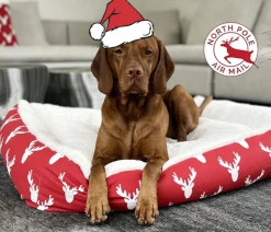 Bowsers Alpine Dog Bed For Christmas