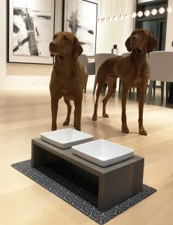 Bowsers Artisan Double Bowl Dog Feeder With Wood Stand - Walnut