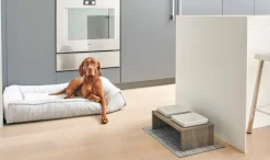 Bowsers Divine cool gel memory foam large dog futon