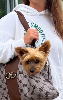 Bowsers Fashionable Small Dog Carrier Bag