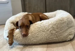 Bowsers Fluffernutter Performance Terry Luxury Fur Bed For Cats & Dogs