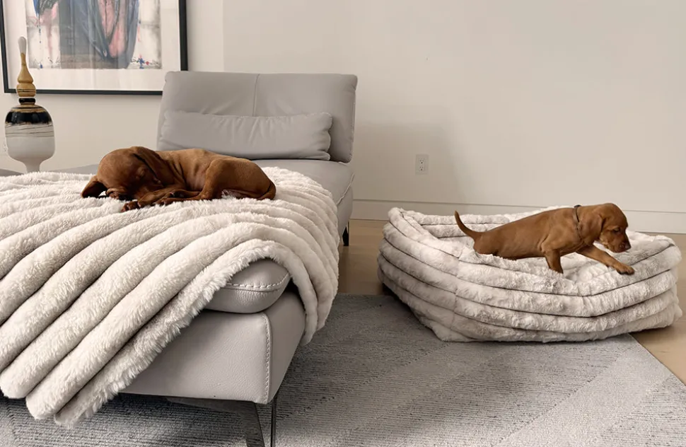Bowsers Performance Terry Luxury Fur Bed For Cats & Dogs
