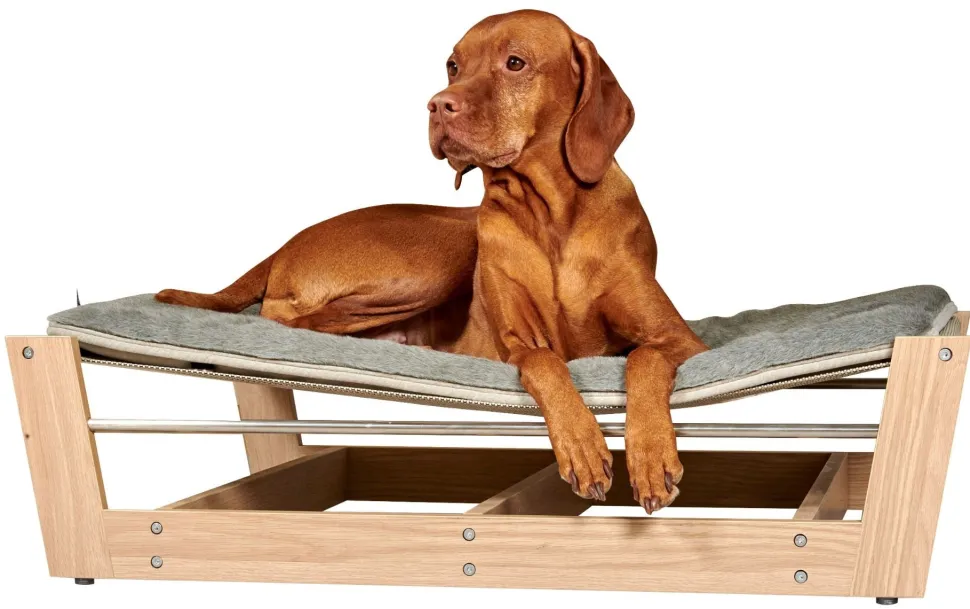 Bowsers pet lounger raised dog bed with mat