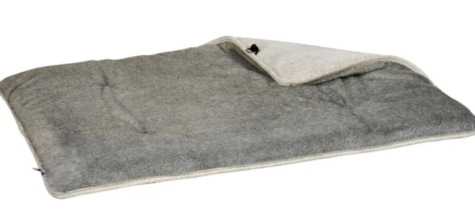Bowsers pet lounger raised dog bed with mat