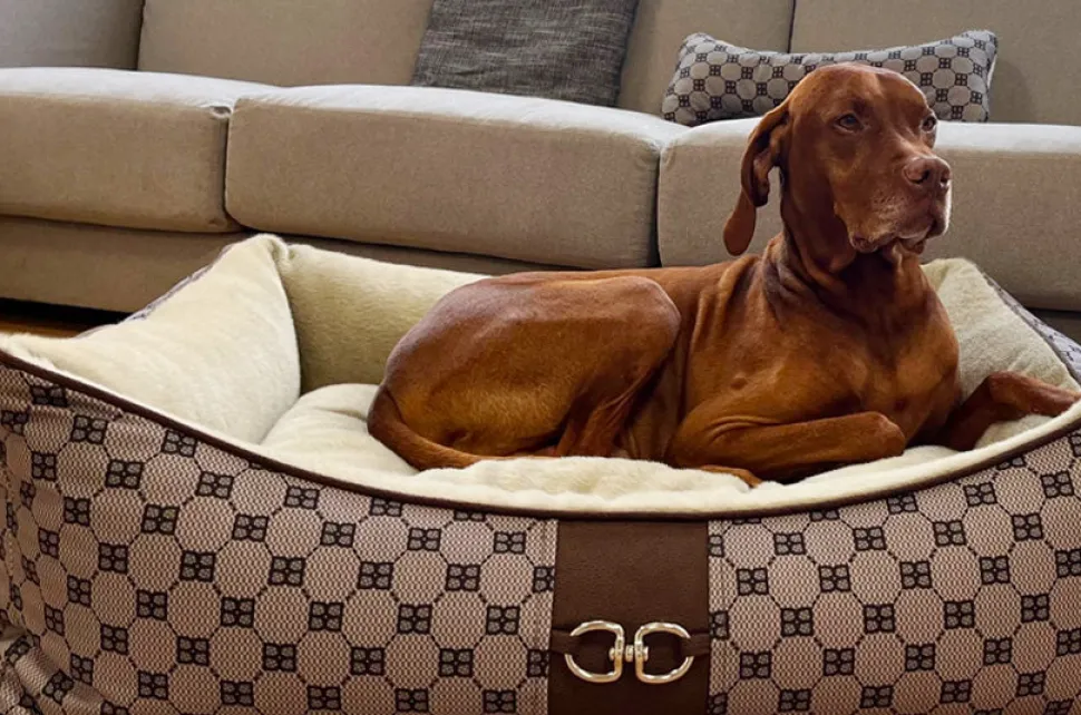 Bowsers Signature Cashmere Scoop Dog Bed