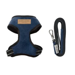 Candy Dog Harness Set