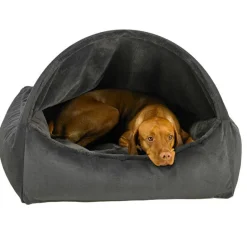 Canopy Dog Bed