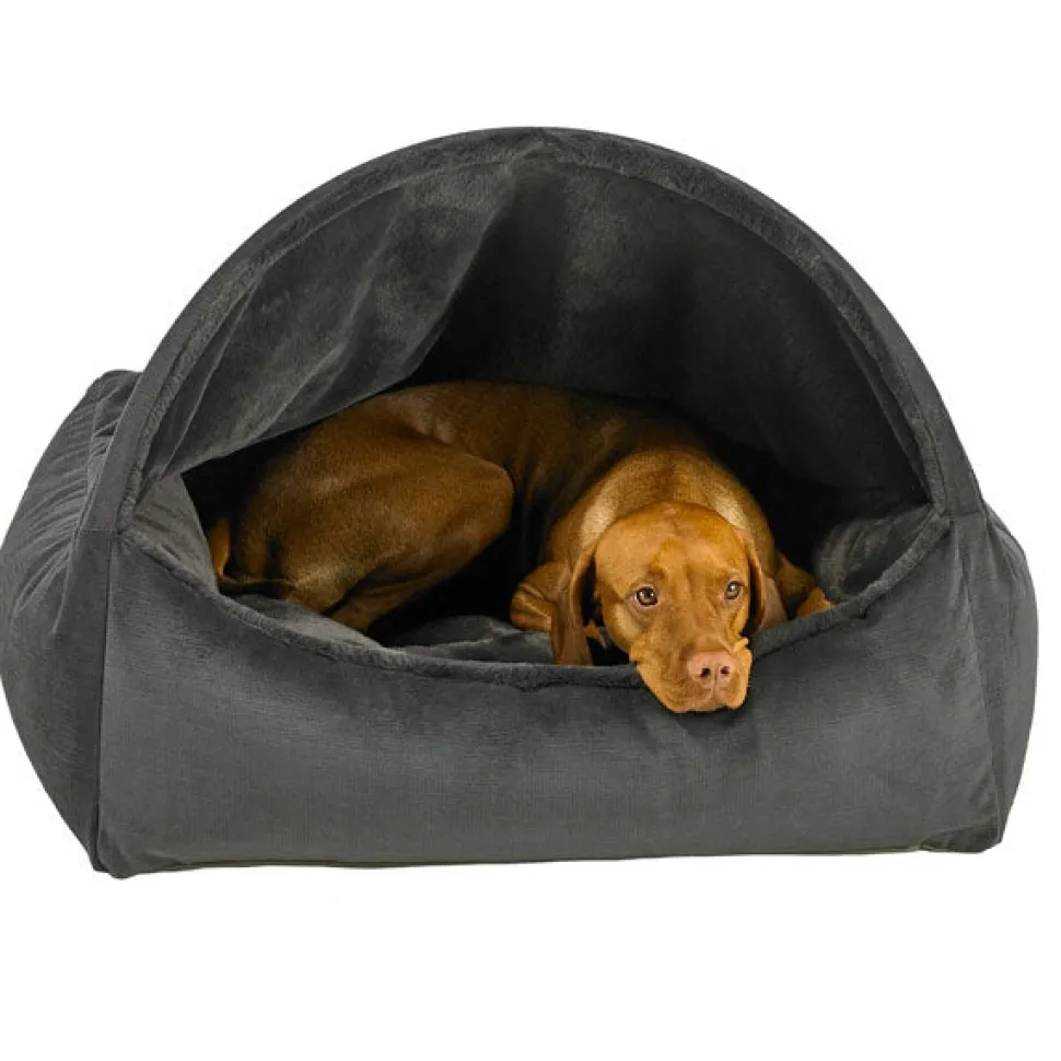 Canopy Dog Bed