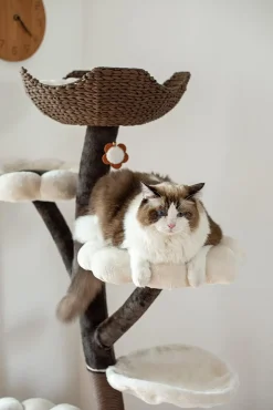Catry Blossom Large Cat Tree 59