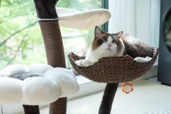 Catry Blossom Large Cat Tree 59