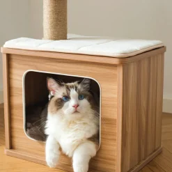 Catry Cedar Wooden Cat Tree