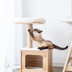 Catry Cedar Wooden Cat Tree