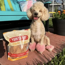Chicken Chips for Dogs