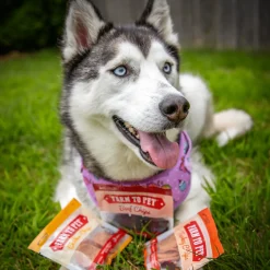 Chicken, Turkey, & Beef Snack Pack Trio