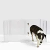 Clear Acrylic Puppy Playpen