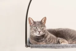 Cloud Nine Window Hammock For Cats