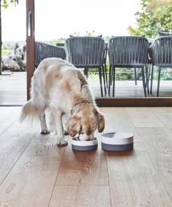 Coppa Porcelain Dog Bowl Set: Bowls, Treat Jar & Slowfeeder