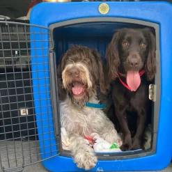 Dakota G3 Large Size Dog Kennel