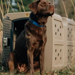 Dakota G3 Large Size Dog Kennel