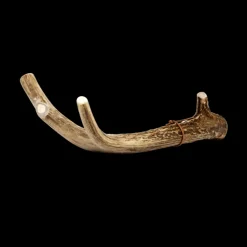 Deer Antlers for Dogs