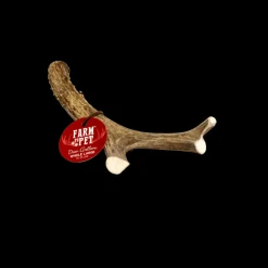 Deer Antlers for Dogs