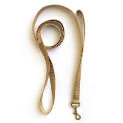 double handle 6' long leash