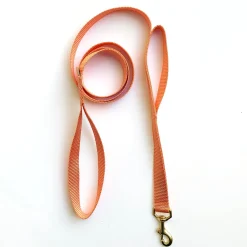 double handle 6' long leash