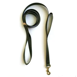 double handle 6' long leash