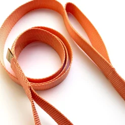 double handle 6' long leash