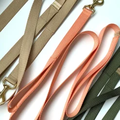 double handle 6' long leash
