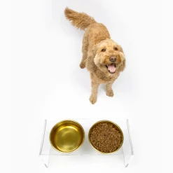 Elevated Double Pet Bowl Feeder with Gold Bowls