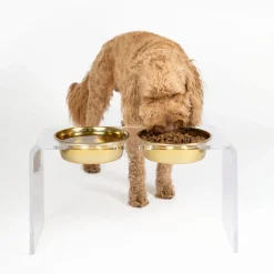 Elevated Double Pet Bowl Feeder with Gold Bowls