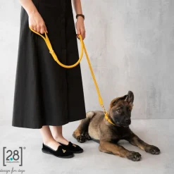 Ferdinando Italian Leather Collar - Yellow
