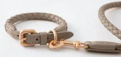 Ferdinando Italian Leather Dog Collar & Leash Set