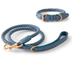Ferdinando Italian Leather Dog Collar & Leash Set