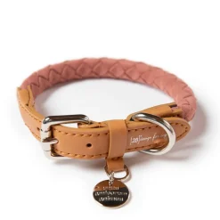 Ferdinando Microfiber Vegan Dog Collar Leash Set