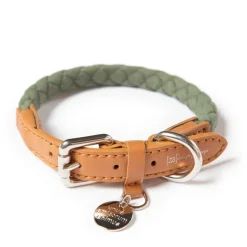 Ferdinando Microfiber Vegan Dog Collar Leash Set