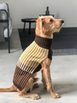 Francesca Alpaca Wool Dog Sweater