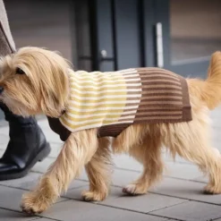 Francesca Alpaca Wool Dog Sweater