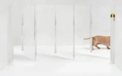 Hiddin acrylic dog gate as pet door & wall mounted
