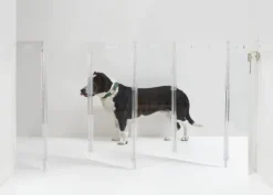 Hiddin acrylic dog gate as pet door & wall mounted
